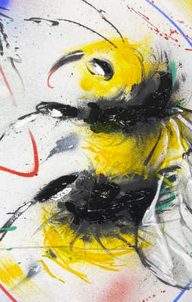 Johe Van Der One