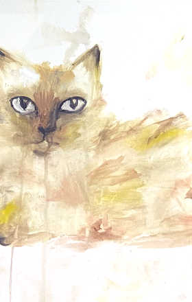 Joana Dornellas sample work