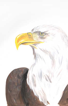 Kate Drexler AB2275-1-3
