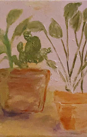 Summar Abdallah