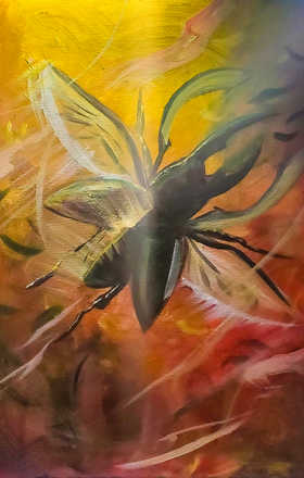 Orinzon Del Aguila Diaz AB2430-2-3