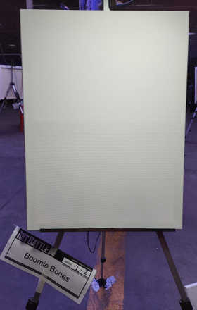 Boomie Bones · AB2508-2-2 · Round 2 Easel 2