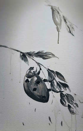 Matteo Mary