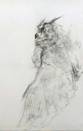 Grant Neegan sample work