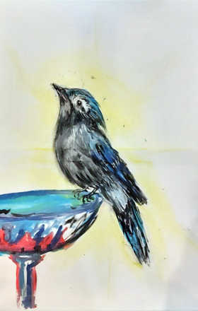 Cailey Giusti sample work