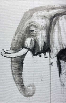 Andres Davila sample work