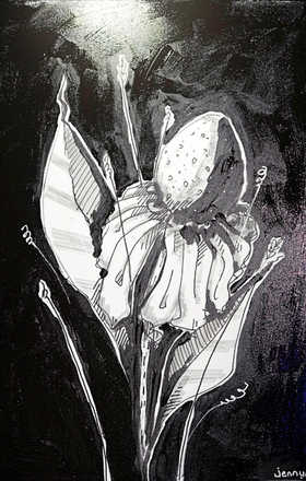 Jenny Cerullo sample work
