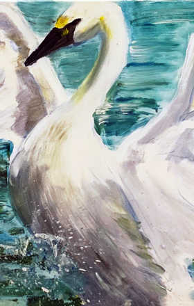 Audrey Barclay sample work
