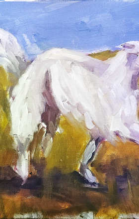 Arina Romanova sample work