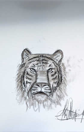 Ryan Weimer sample work