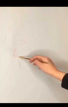 Dan Li · ABO1-1-1 · Round 1 Easel 1